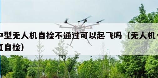 中型无人机自检不通过可以起飞吗（无人机一直自检）