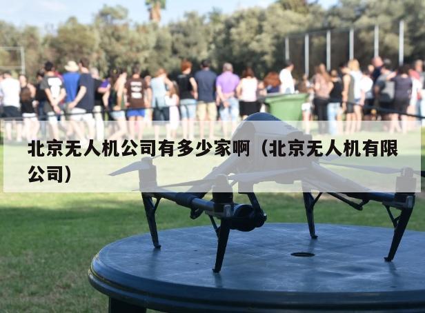 北京无人机公司有多少家啊（北京无人机有限公司）