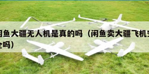 闲鱼大疆无人机是真的吗（闲鱼卖大疆飞机安全吗）