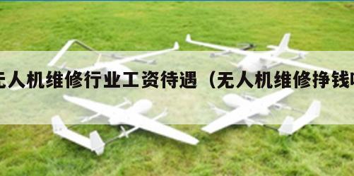 无人机维修行业工资待遇（无人机维修挣钱吗）