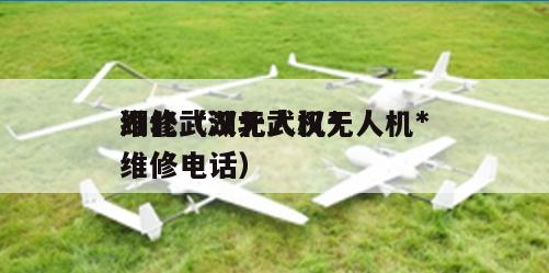 湖北武汉无人机*
维修（湖北武汉无人机*
维修电话）