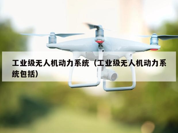 工业级无人机动力系统（工业级无人机动力系统包括）