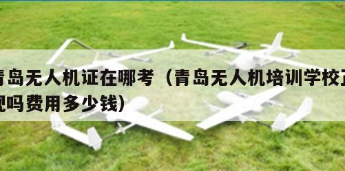 青岛无人机证在哪考（青岛无人机培训学校正规吗费用多少钱）