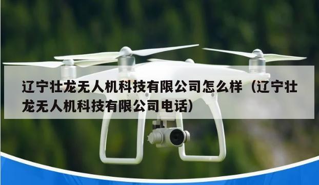 辽宁壮龙无人机科技有限公司怎么样（辽宁壮龙无人机科技有限公司电话）