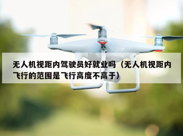 无人机视距内驾驶员好就业吗（无人机视距内飞行的范围是飞行高度不高于）