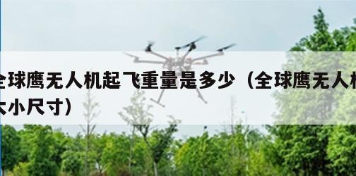 全球鹰无人机起飞重量是多少（全球鹰无人机大小尺寸）