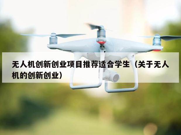 无人机创新创业项目推荐适合学生（关于无人机的创新创业）