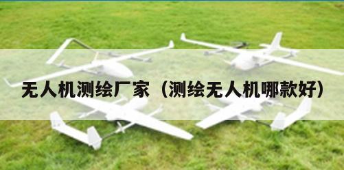 无人机测绘厂家（测绘无人机哪款好）
