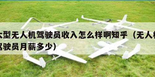 大型无人机驾驶员收入怎么样啊知乎（无人机驾驶员月薪多少）