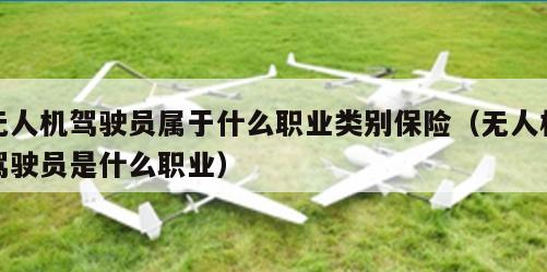 无人机驾驶员属于什么职业类别保险（无人机驾驶员是什么职业）