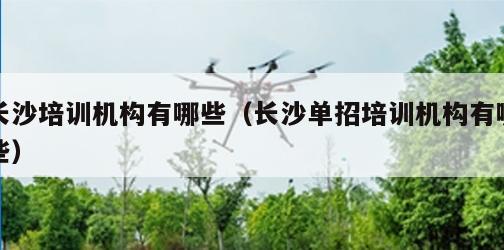 长沙培训机构有哪些（长沙单招培训机构有哪些）