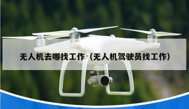 无人机去哪找工作（无人机驾驶员找工作）