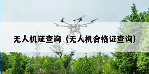 无人机证查询（无人机合格证查询）