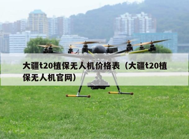 大疆t20植保无人机价格表（大疆t20植保无人机官网）