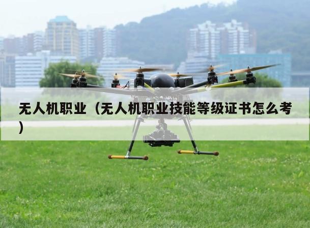 无人机职业（无人机职业技能等级证书怎么考）
