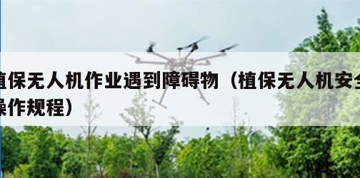 植保无人机作业遇到障碍物（植保无人机安全操作规程）