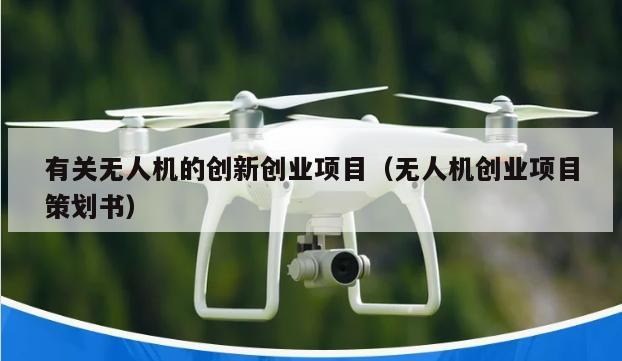 有关无人机的创新创业项目（无人机创业项目策划书）