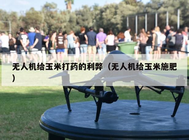 无人机给玉米打药的利弊（无人机给玉米施肥）