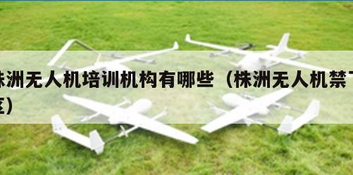 株洲无人机培训机构有哪些（株洲无人机禁飞区）