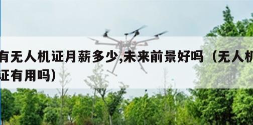有无人机证月薪多少,未来前景好吗（无人机证有用吗）