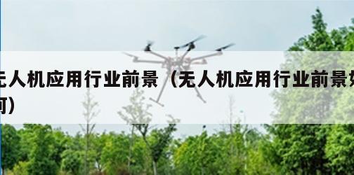 无人机应用行业前景（无人机应用行业前景如何）
