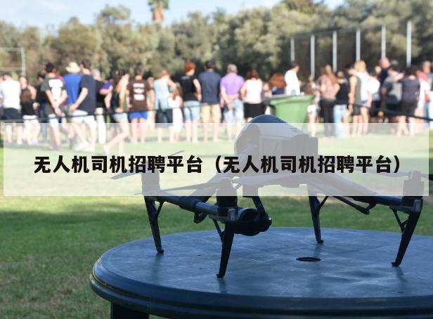 无人机司机招聘平台（无人机司机招聘平台）