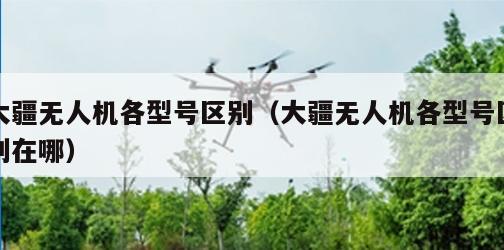 大疆无人机各型号区别（大疆无人机各型号区别在哪）