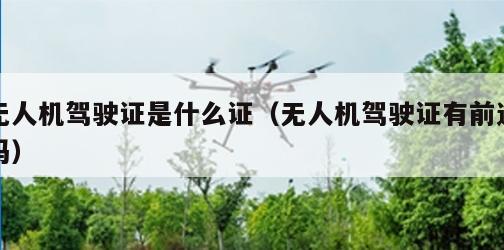 无人机驾驶证是什么证（无人机驾驶证有前途吗）