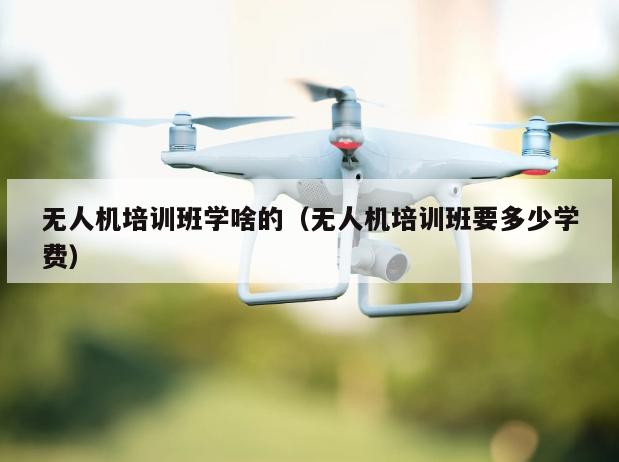 无人机培训班学啥的（无人机培训班要多少学费）