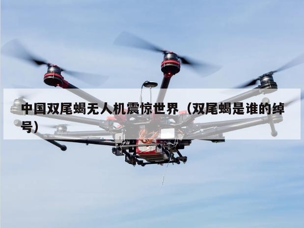 中国双尾蝎无人机震惊世界（双尾蝎是谁的绰号）