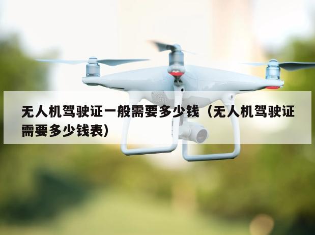 无人机驾驶证一般需要多少钱（无人机驾驶证需要多少钱表）