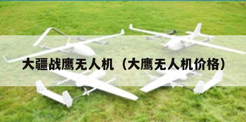 大疆战鹰无人机（大鹰无人机价格）