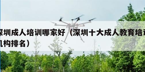 深圳成人培训哪家好（深圳十大成人教育培训机构排名）