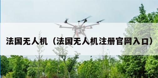 法国无人机（法国无人机注册官网入口）