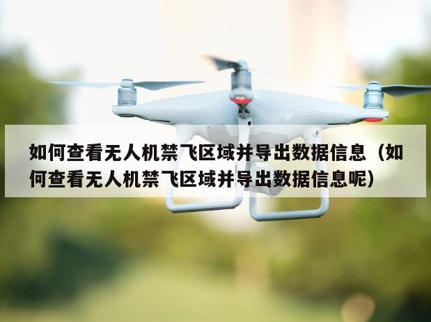 如何查看无人机禁飞区域并导出数据信息（如何查看无人机禁飞区域并导出数据信息呢）
