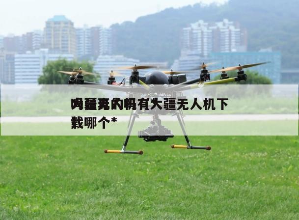 大疆无人机有*吗是真的吗（大疆无人机下载哪个*）