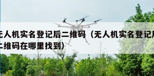 无人机实名登记后二维码（无人机实名登记后二维码在哪里找到）