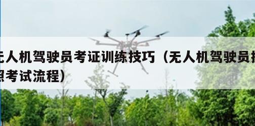 无人机驾驶员考证训练技巧（无人机驾驶员执照考试流程）