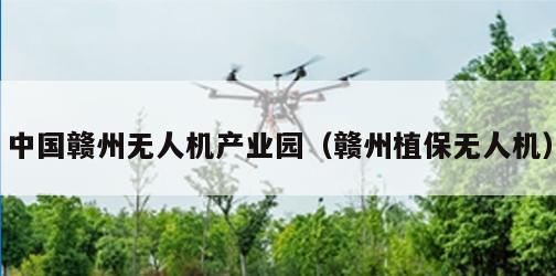 中国赣州无人机产业园（赣州植保无人机）