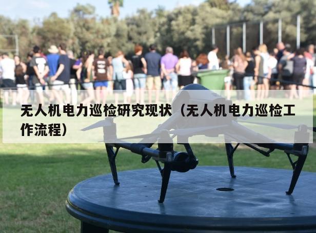 无人机电力巡检研究现状（无人机电力巡检工作流程）