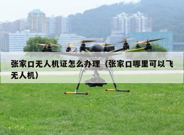 张家口无人机证怎么办理（张家口哪里可以飞无人机）