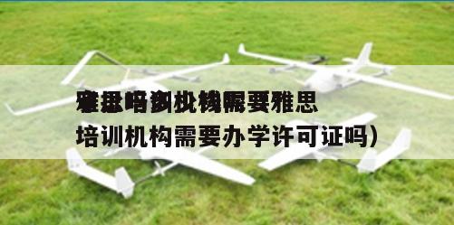 雅思培训机构需要*审批吗多少钱呢（雅思培训机构需要办学许可证吗）