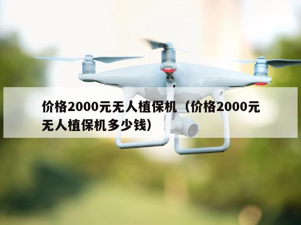 价格2000元无人植保机（价格2000元无人植保机多少钱）