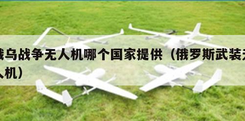 俄乌战争无人机哪个国家提供（俄罗斯武装无人机）