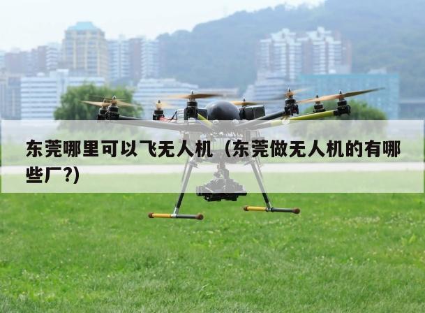 东莞哪里可以飞无人机（东莞做无人机的有哪些厂?）