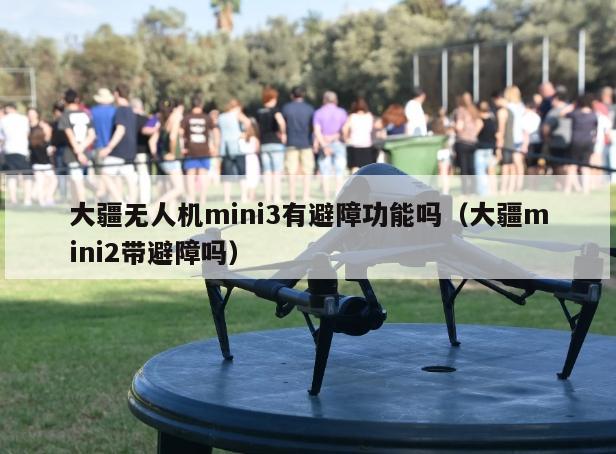 大疆无人机mini3有避障功能吗（大疆mini2带避障吗）