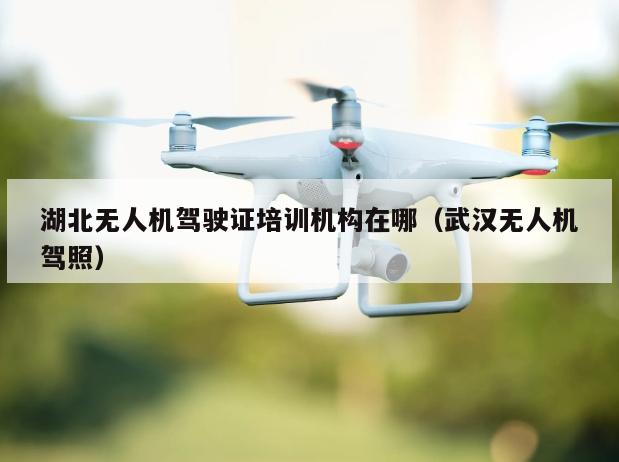 湖北无人机驾驶证培训机构在哪（武汉无人机驾照）