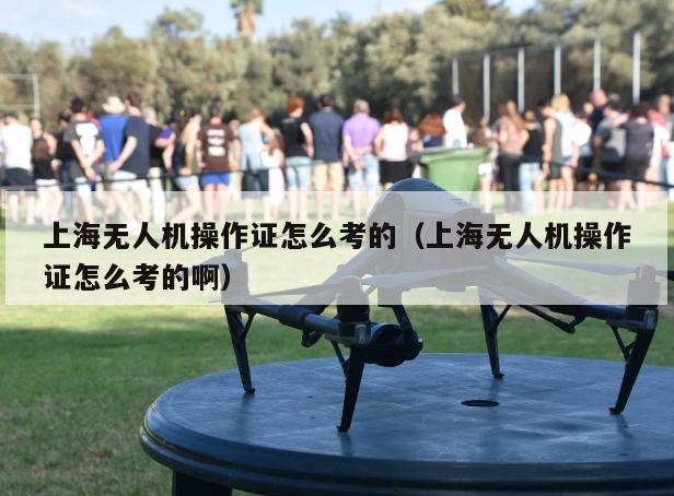 上海无人机操作证怎么考的（上海无人机操作证怎么考的啊）
