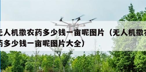无人机撒农药多少钱一亩呢图片（无人机撒农药多少钱一亩呢图片大全）
