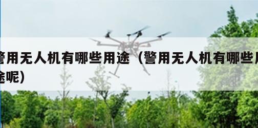 警用无人机有哪些用途（警用无人机有哪些用途呢）